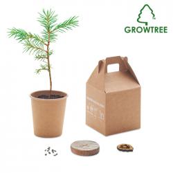 Kiefernsamen-Set Growtree™
