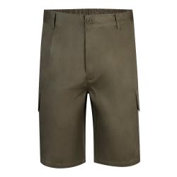 Bermuda shorts in...