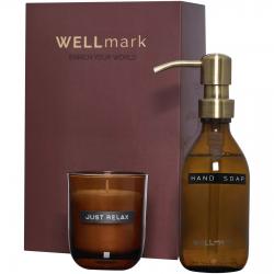 Wellmark discovery 250 ml...