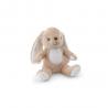 Polyester plush toy in the shape of a rabbit with its own fabric for customization Bugs