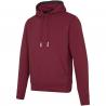 Arora 300 g/m² unisex hoodie 